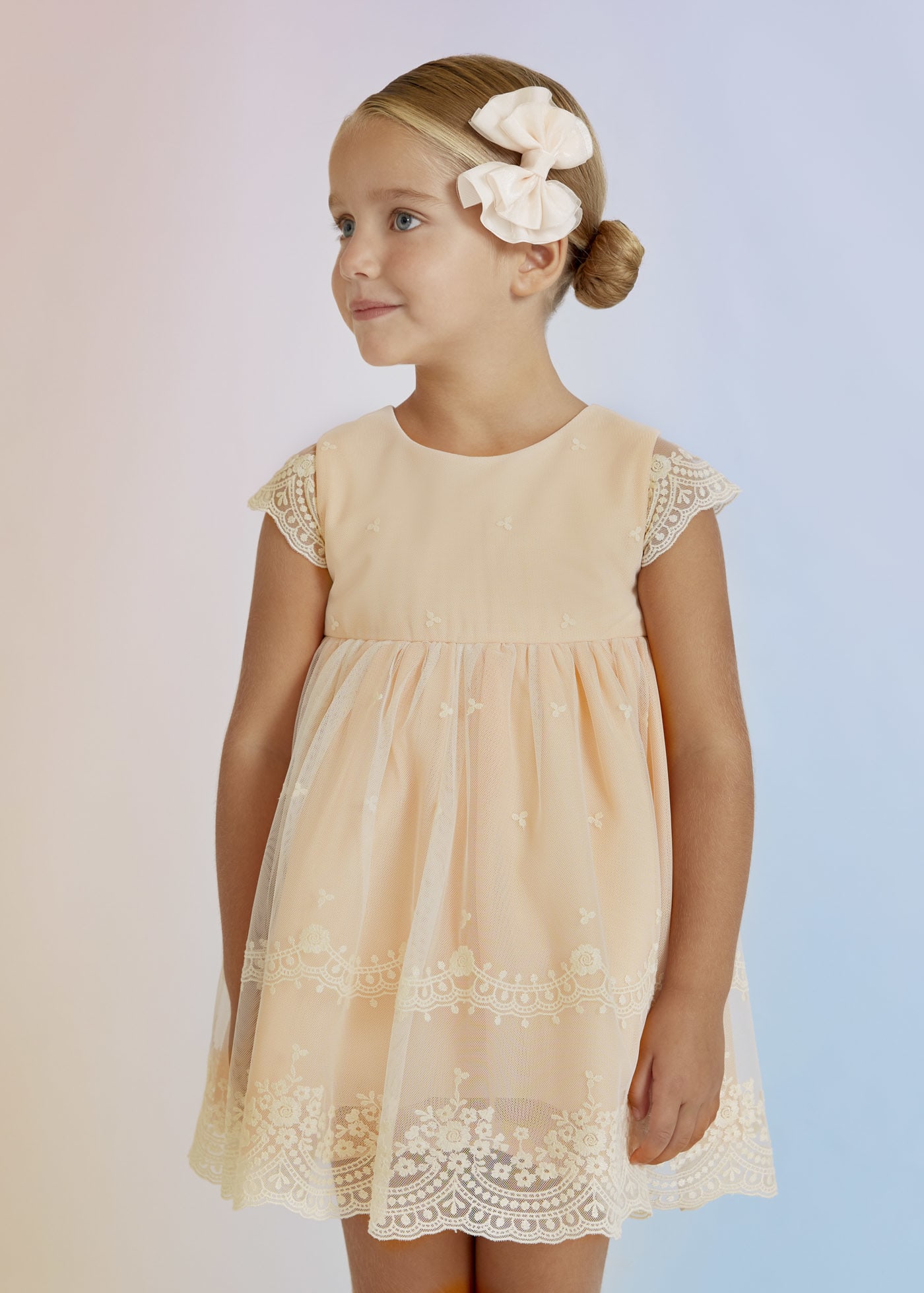 Tulle embroidered dress girl