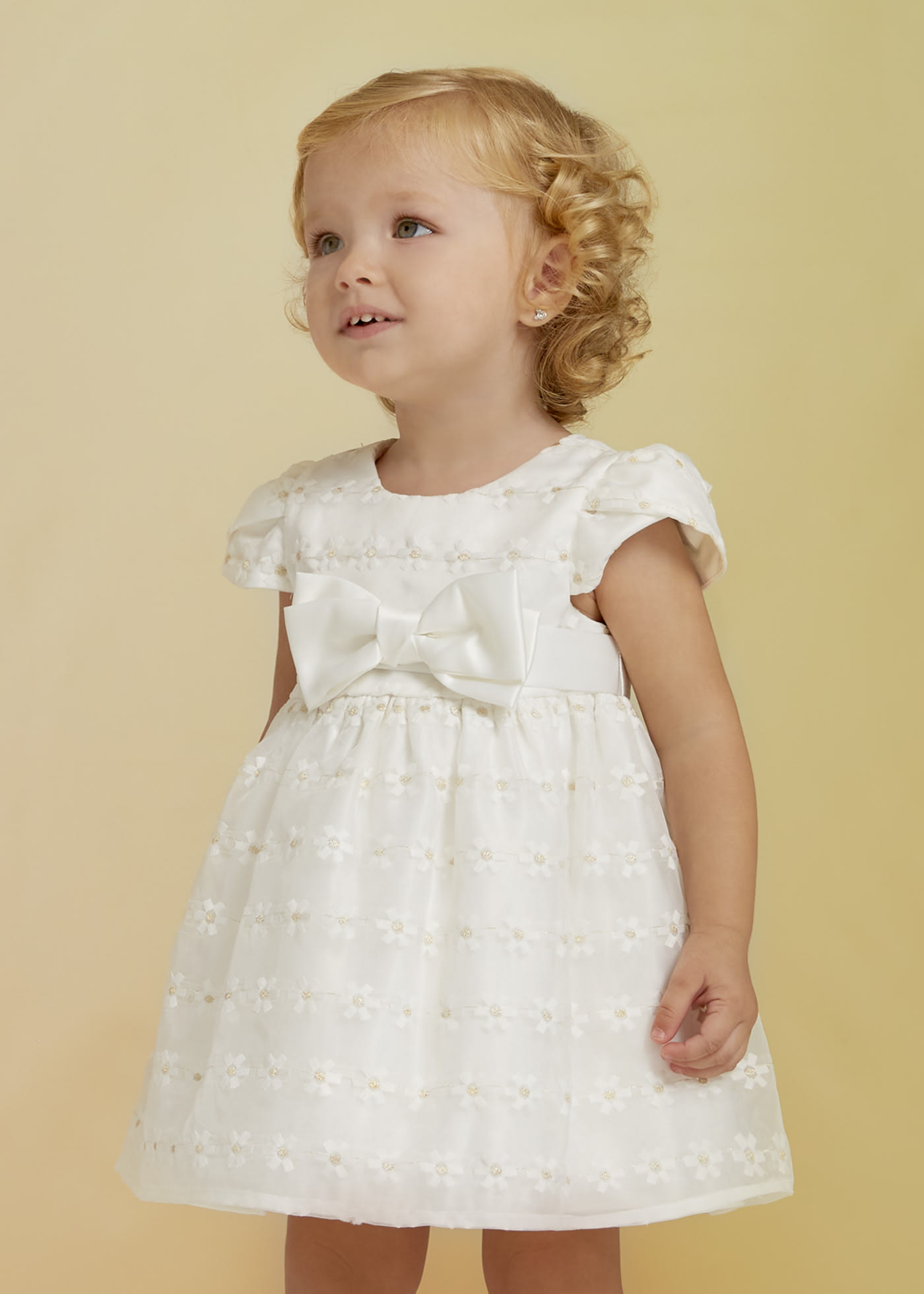 Organza embroidered dress baby