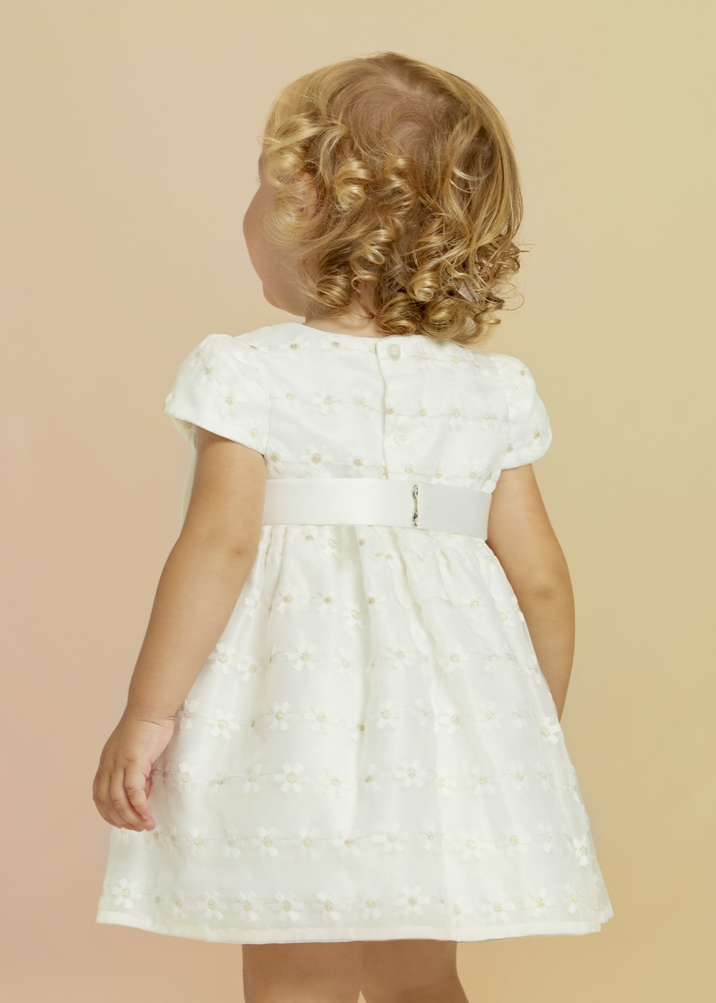 Organza embroidered dress baby
