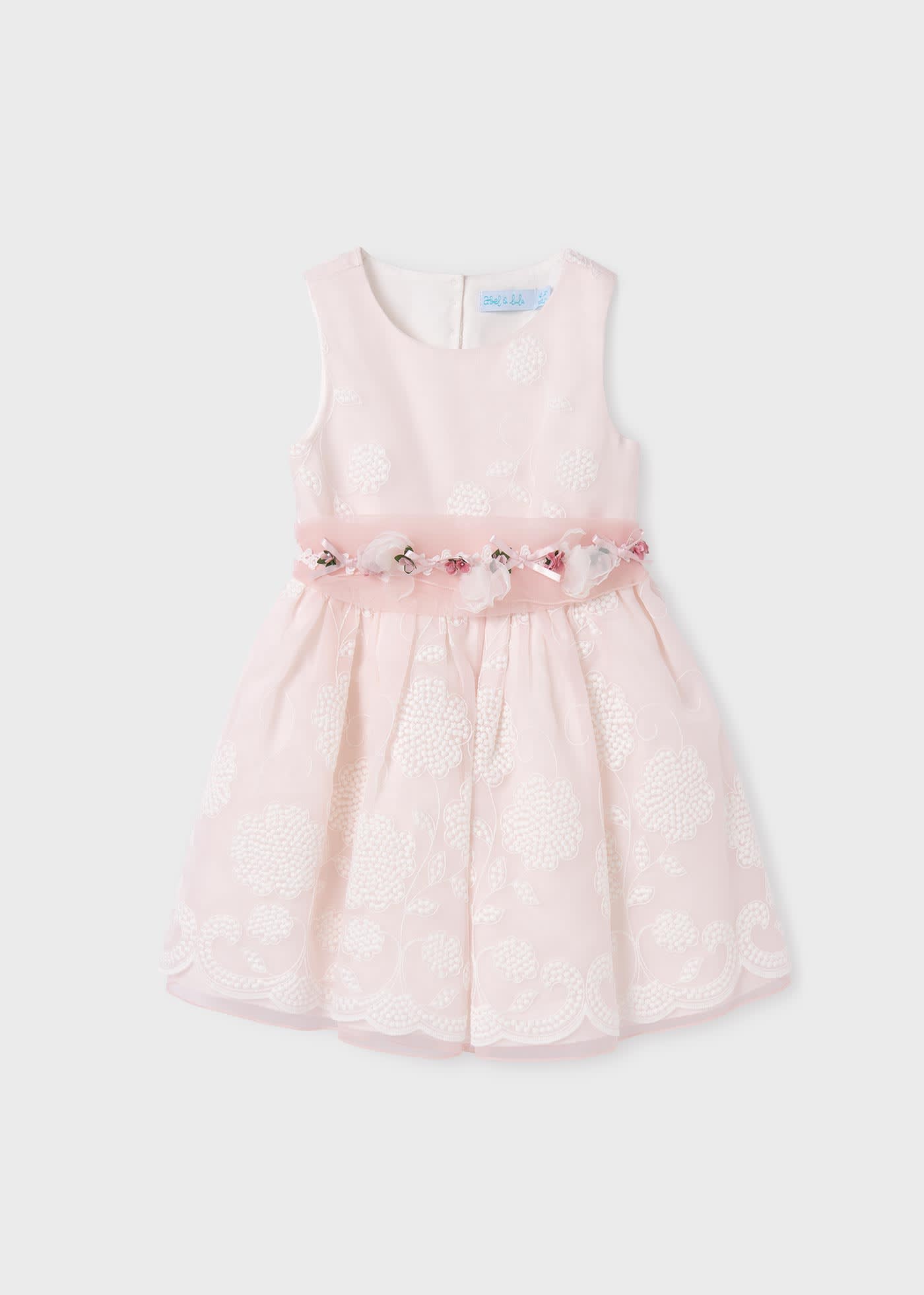 Girl Embroidered Organza Dress