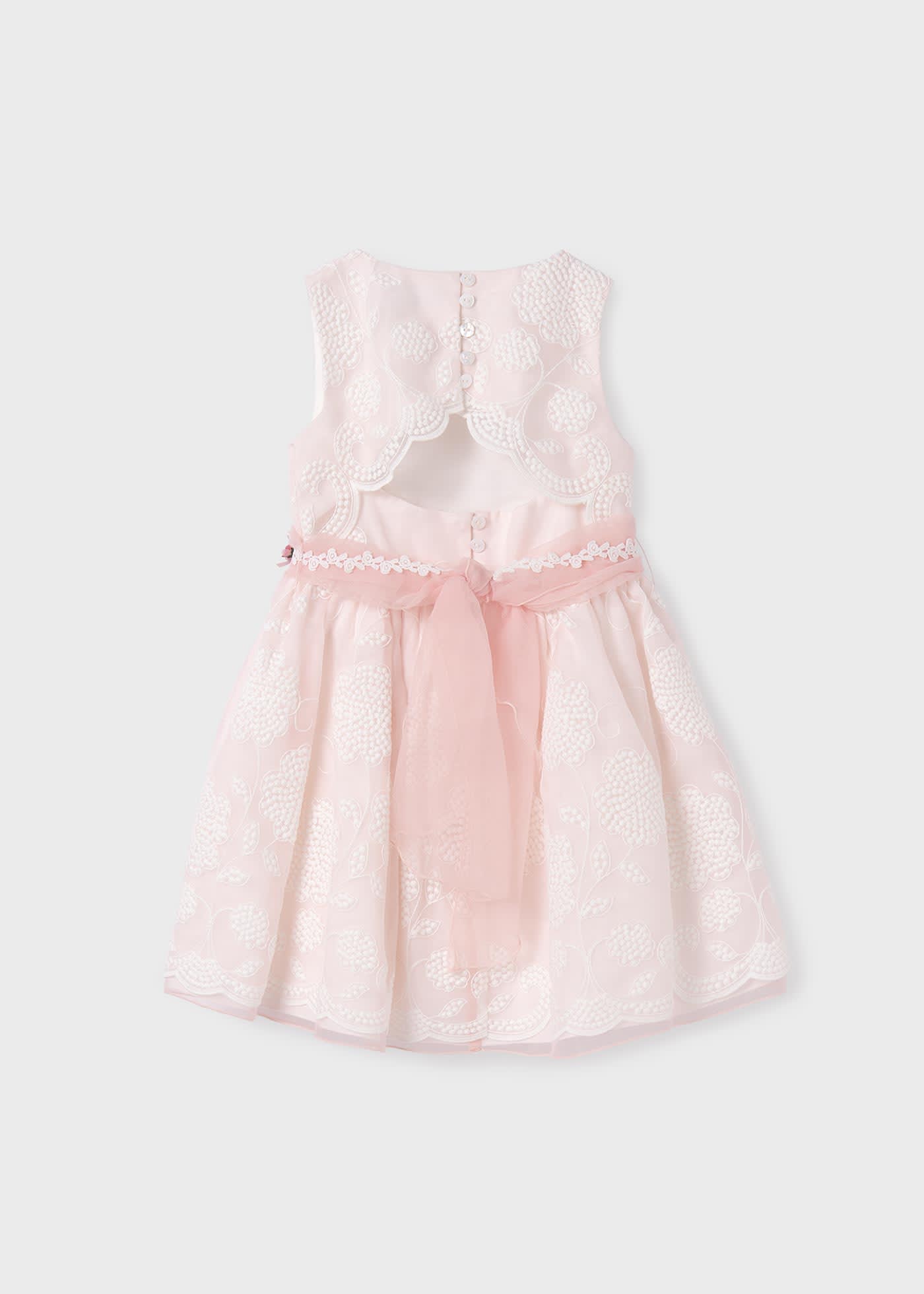 Girl Embroidered Organza Dress