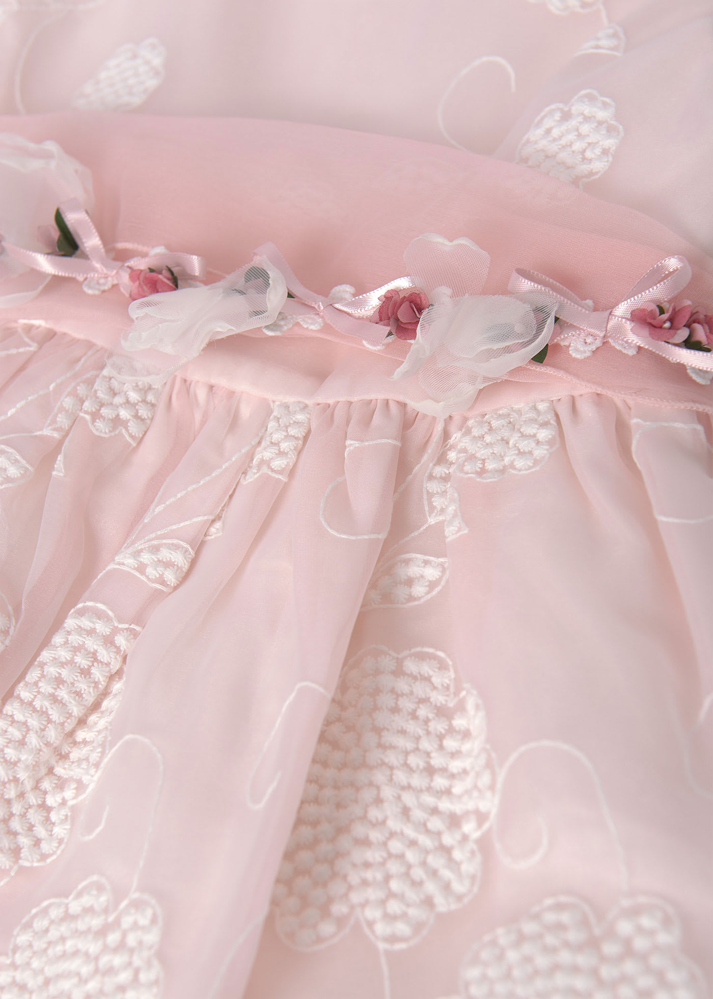 Girl Embroidered Organza Dress