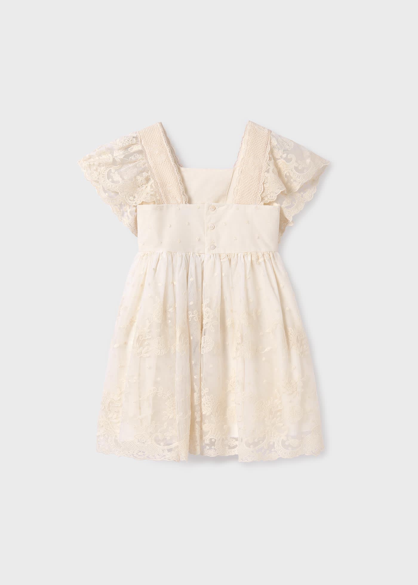 Girl embroidered tulle dress