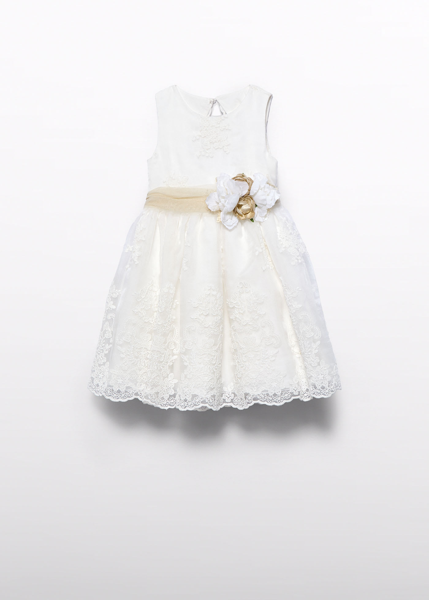 Girl embroidered organza dress