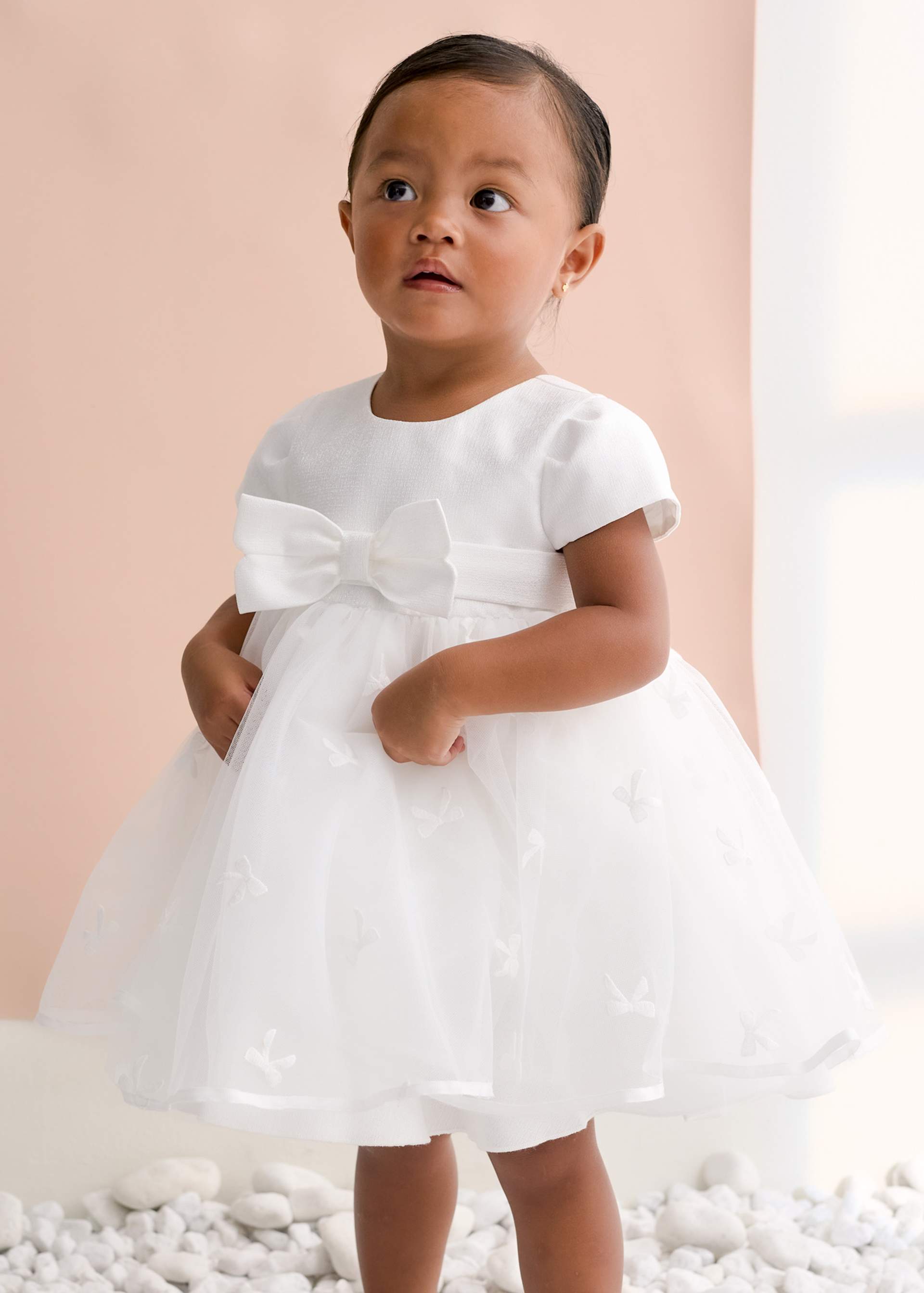 Baby Embroidered Tulle Dress
