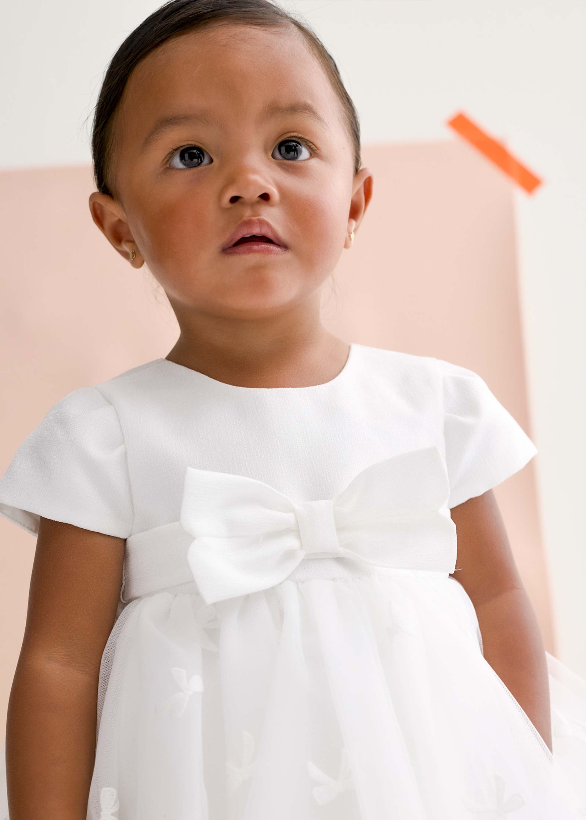 Baby Embroidered Tulle Dress