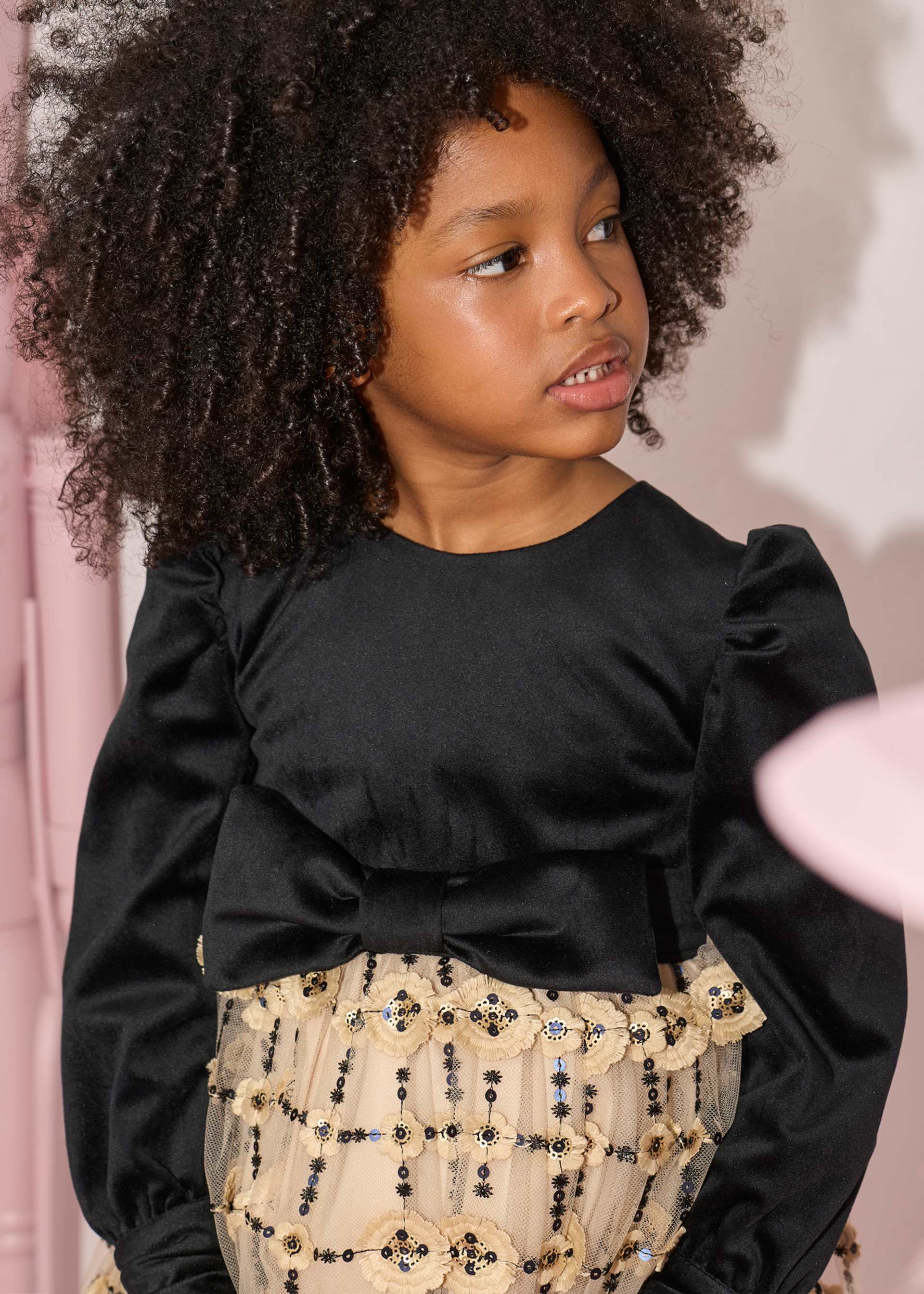 Girl Embroidered Tulle Dress