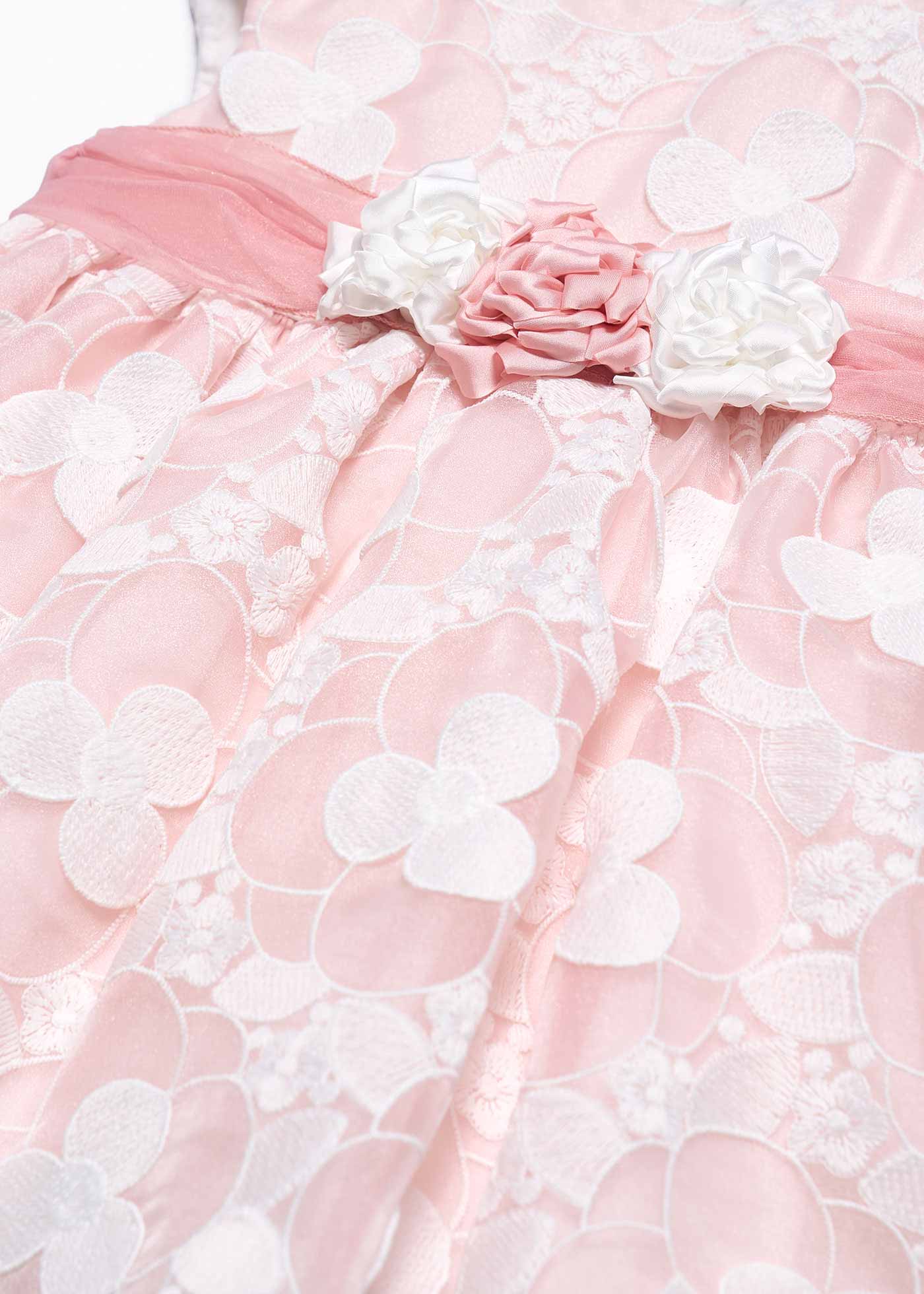 Baby Embroidered Organza Dress Pink | Abel & Lula
